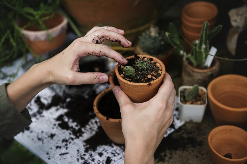 Communal Gardening
